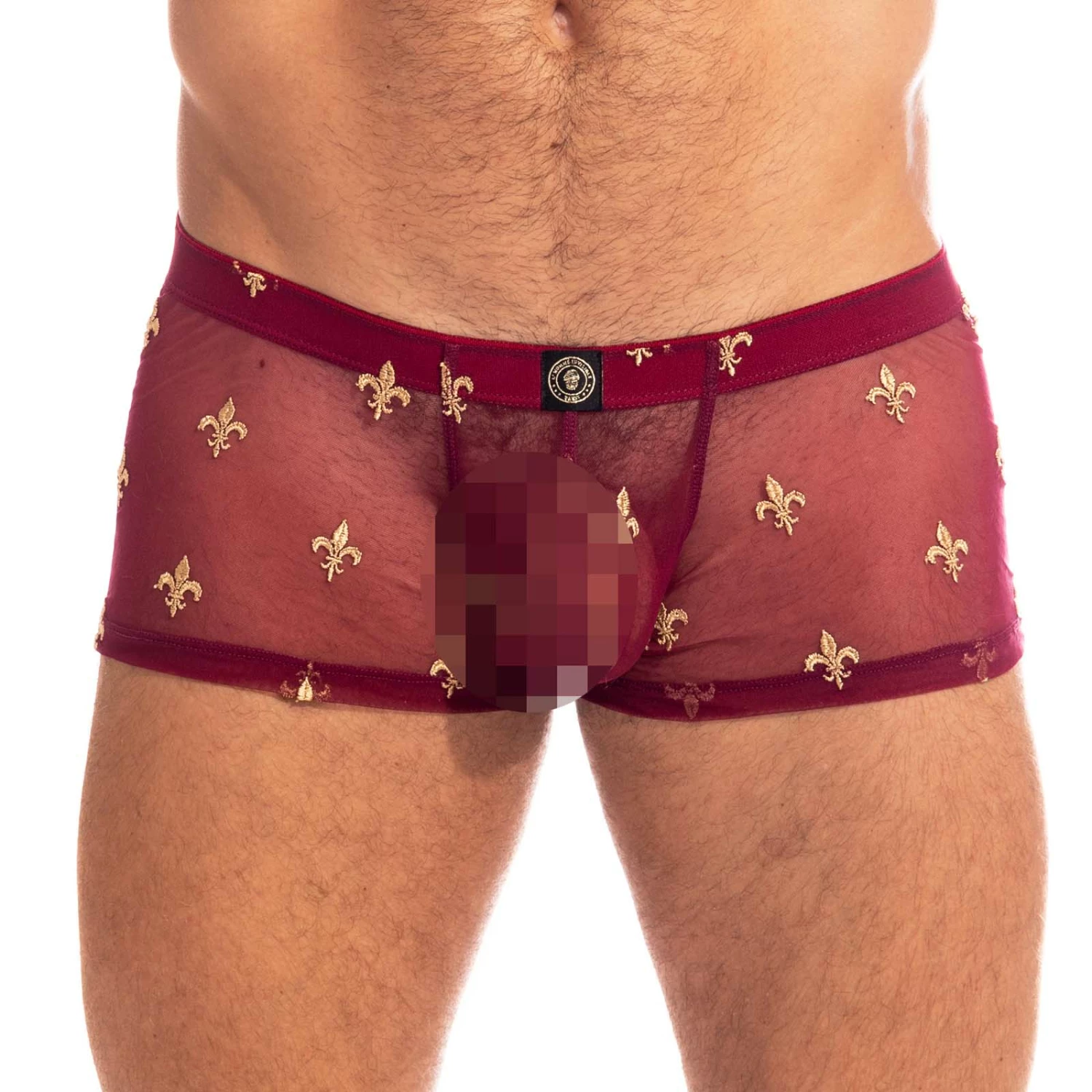 Boxer L Homme Invisible Charlemagne MY14CLM 1 Boxer L Homme Invisible Charlemagne MY14CLM