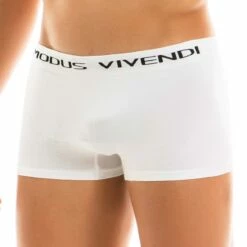 Boxer Modus Vivendi Seamless 09921 -MEN ATTITUDE Ventes Boxer modus 09921 blanc 4