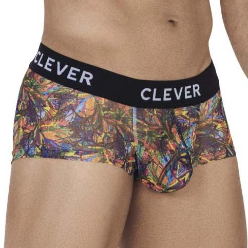 Boxer Clever Bonite 0670 3 Boxer Clever Bonite 0670 – Image 3