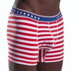 Boxer CockSox Liberty Stripe CX12 7 Boxer CockSox Liberty Stripe CX12 -MEN ATTITUDE Ventes boxer cocksox cx12 Liberty 4